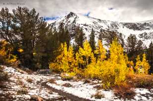 Mt. Olson above Virginia Lake-8859